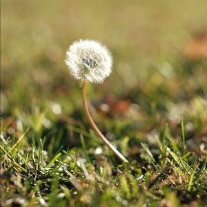 Meet your Posher, Winnie